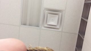 Bull gives girl a quick fuck