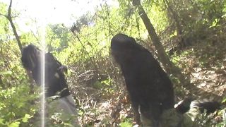 Anton,MixedWrestling249