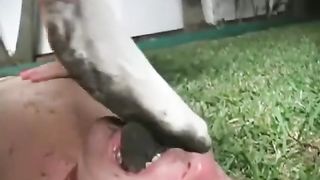 Femdom clean dirty feet and socks