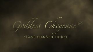 Goddes Cheyenne Slave Charlie horse