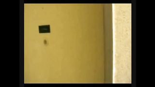 BitchNr1 - Der Nachbar