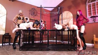 Mistress Amadahy FUCKS pigs