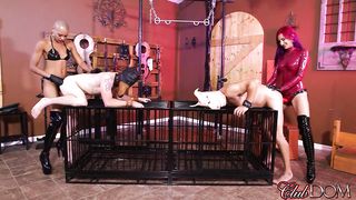 Mistress Amadahy FUCKS pigs