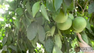 PegHim - Unripe Fruit Eliza Eves is a slutty neighbor