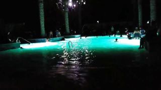 Christine Cane at Del Sol