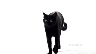 Valerie Intense Stimulation