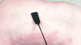 A whip and a chastity cage - You need them