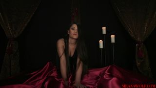 MeanaWolf - Predator