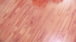 NaughtyDragon - Sophia Stone - Xenias Revenge