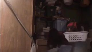 mixed wrestling amateur grapevine