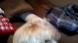 Mandy I C  BOAB (Yellow)