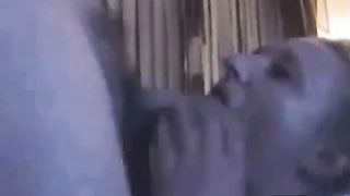 Horny 30'years old blond sucks like her life depends on it!