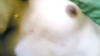 Malay - Mature Couple