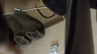 Puffy Russian Squirts