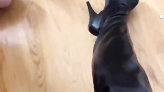 Evilwoman and her sissy