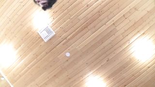 FWR - Persephone bully