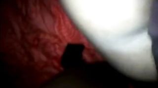 French Arabic MILF Doggy style