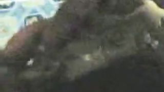 Malay - Exhibionist 2