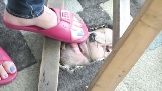 slime under foot the art student