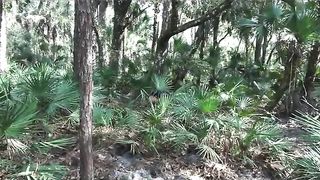 Nikki Next's Jungle Justice