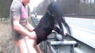 I saw two people banging next to the highway.