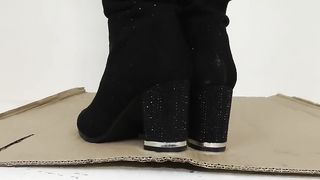 Cock under cardboard