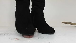 Cock under cardboard