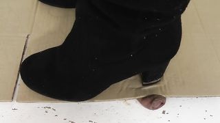 Cock under cardboard