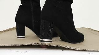 Cock under cardboard