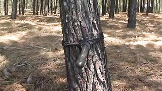 TheEnglishMansion - Boudoir - Forest Fuck