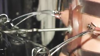 TheEnglishMansion - Cellar - The Agony & The Ecstasy