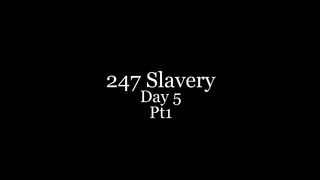 TheEnglishMansion - Cells - 247 Slavery Day5 Pt1of3