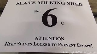 TheEnglishMansion - Cellar - The Milking Shed