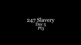 TheEnglishMansion - Cells - 247 Slavery Day5 Pt3of3