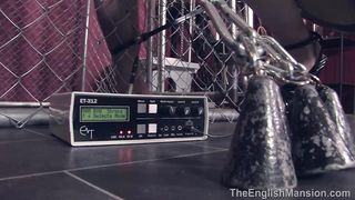 TheEnglishMansion - Cells - Electrified Steel Cage