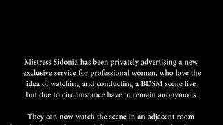 TheEnglishMansion - Dungeon - Remote Control Pt1