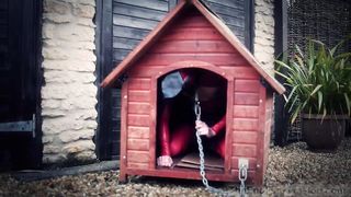 TheEnglishMansion - Study - A Pup's Xmas Tail