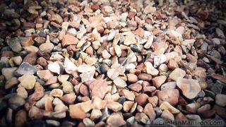 TheEnglishMansion - Study - A Pup's Xmas Tail