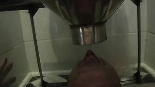 TheEnglishMansion - Therest - At Veronica's Convenience