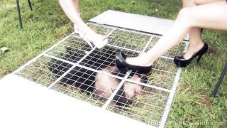 TheEnglishMansion - Study - Kept At Shoe Level