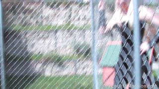 TheEnglishMansion - Stables - Pet Puppy Training