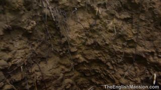 TheEnglishMansion - Study - Taken To The Pit