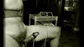 TheEnglishMansion - Therest - Interrogation