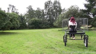 TheEnglishMansion - Stables - Trained On The Trap