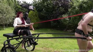 TheEnglishMansion - Stables - Trained On The Trap