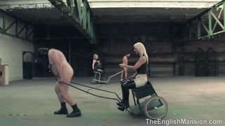TheEnglishMansion - Stables - Two Horse Race
