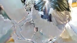 KissHerFoot - MOV06290xt