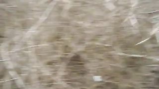 Dionysus & The Ex - Outside Humiliation Fun