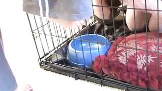 KissHerFoot - vid008025xt