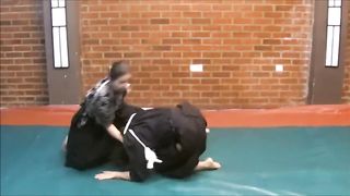 ninjitsu techniques and chokes